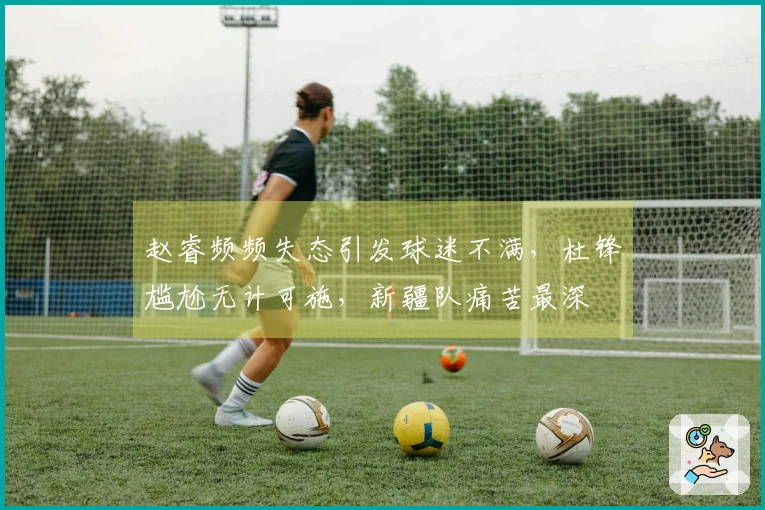赵睿频频失态引发球迷不满,杜锋尴尬无计可施,新疆队痛苦最深